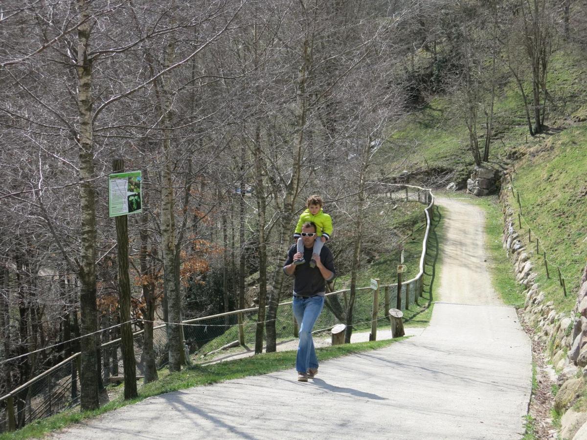 Apartamento Rurales Les Barnedes Molló